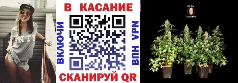 Магазины продажи наркотиков Омск Амфетамин  Псилоцибиновые грибы  БУТИРАТ  Гашиш  COCAIN  Мефедрон 