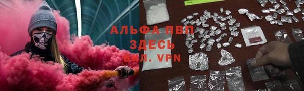 крисы Алзамай