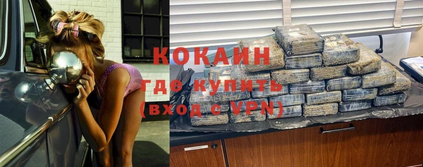 apvp Алексин