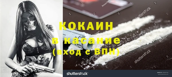 крисы Алзамай