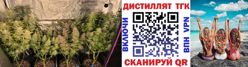 ТГК концентрат Омск