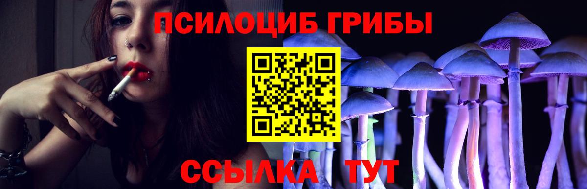Галлюциногенные грибы Psilocybine cubensis  Вход с VPN  Омск 
